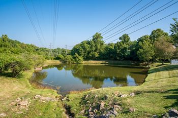 On-Premise Pond